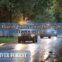 Brush Collection through Wednesday