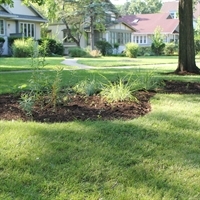 Sustainability Commission Awarded $5,000 Grant