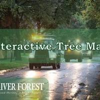 Trees in River Forest