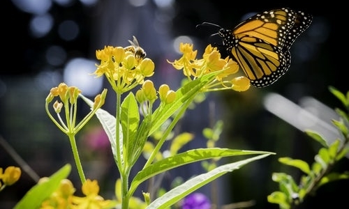 Sustainability programs