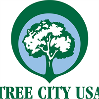 River Forest named a Tree City USA